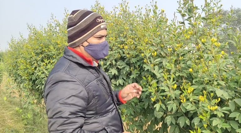 खराब मौसम से परेशान है किसान, कृषि वैज्ञानिक ने दी यह सलाह.