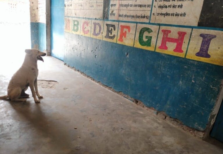 छात्रों की जगह कुत्ता पहुंचा स्कूल, पढ़ने लगा अंग्रेजी