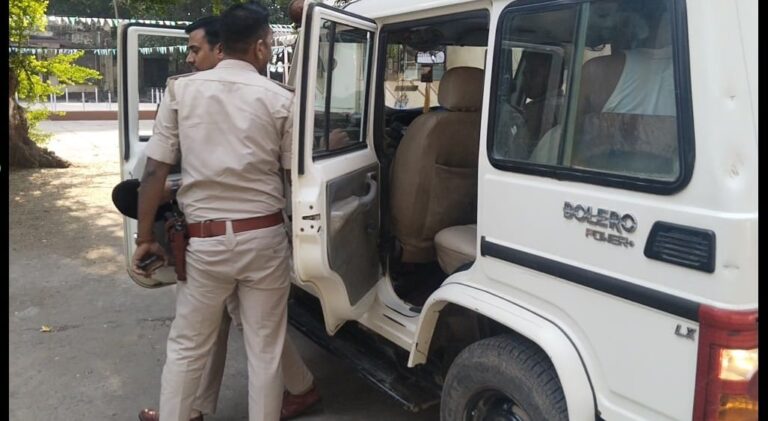 करीब आधा दर्जन हथियार के साथ भारी मात्रा में कारतूस बरामद