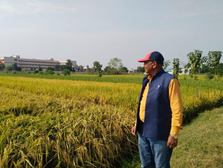 जिले में 15 नवम्बर से होगी धान की खरीददारी, नहीं चलेगा नमी का बहाना.