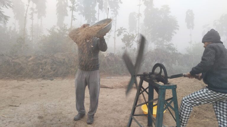 घने कोहरे से परेशान है किसान, फसल पर पड़ रहा है बुरा असर
