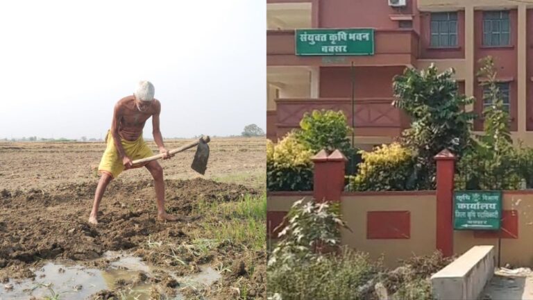 आर्थिक तंगी से जूझ रहे है कृषि प्रधान देश के किसान, रोजी रोटी के लिए तरस रहे है अन्नदाता