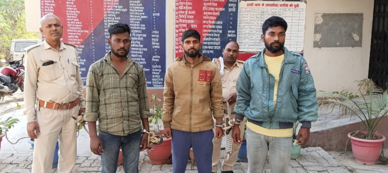 वाहन चेकिंग में मिले अवैध हथियार, तीन आरोपी गिरफ़्तार