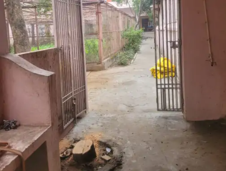 मंदिर से चोरी हुई करोड़ों की चंदन लकड़ी गंगा नदी से बरामद