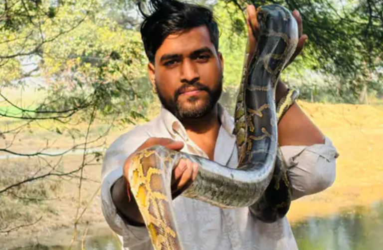 केशोपुर में 15 फीट लंबा अजगर दिखा, लोगों में हड़कंप