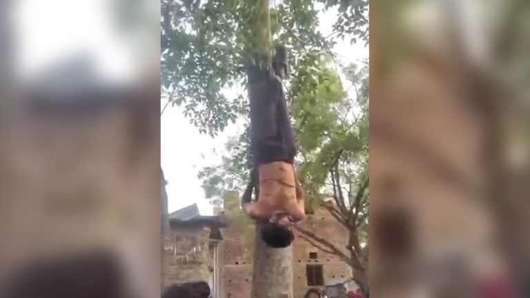 चोरी के शक में युवक को पेड़ से बांधकर बुरी तरह पीटा