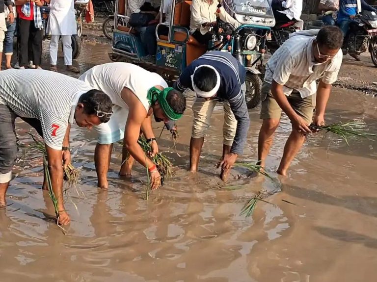 सड़क की बदहाली पर रोष: गड्ढों में धान रोपकर जताया विरोध