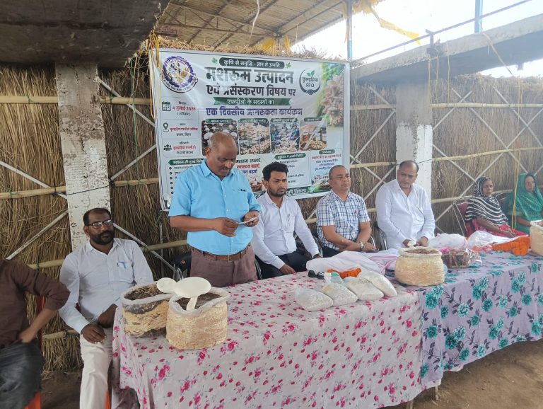 मशरूम की खेती से बदल रही ग्रामीण अर्थव्यवस्था