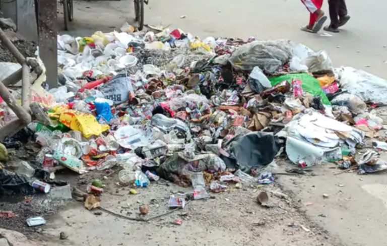 सफाईकर्मी हड़ताल पर, शहर भर में कचरे के अंबार