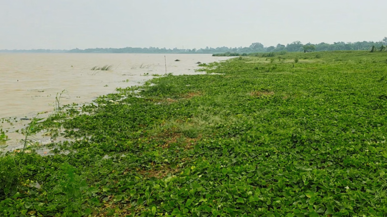 बढ़ते जलस्तर ने किसान के मेहनत पर फेरा पानी