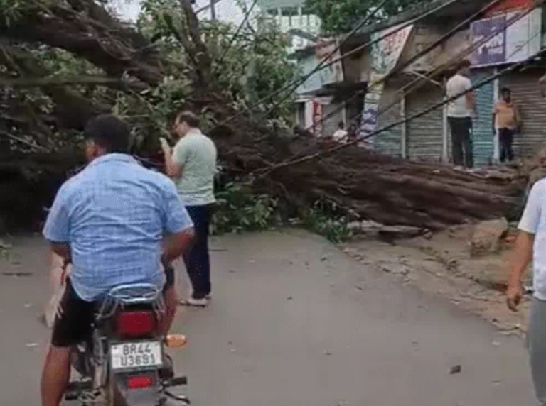 आंधी और बारिश ने मचाया उत्पात, पेड़ गिरने से बिजली व्यवस्था प्रभावित